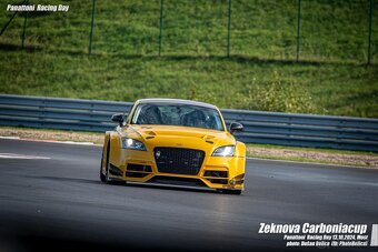 Audi TTS DTM cca 420 koní - 3