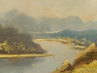 Obraz Vítězslav Fleissig, Sosna u Vltavy, olej 34x44 - 3