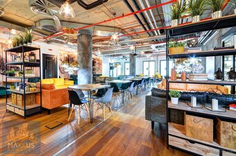 Pronájem reprezentativních kanceláří, Václavské náměstí, Pra - 3