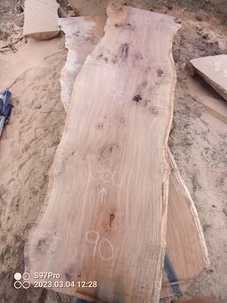 XXXL giga velké dubové fošny šířka 80-135 cm - 3