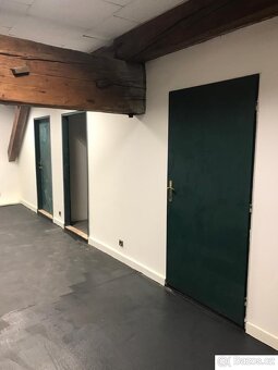Nebytový prostor Karlín 100m - 3