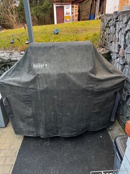 Weber gril genesis - 3