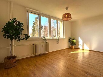 Pronájem bytu 3+kk, J.A. Komenského 290, Meziboří - 3