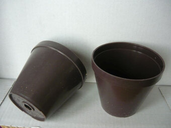 kaktusy - 3