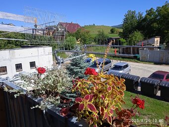 Antena huste sito - 3