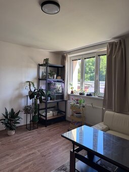 Pronájem bytu 2KK v rodinném domě v Lounech, ulice Česká - 3