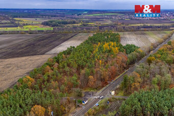 Prodej lesa, 6436 m², Lysá nad Labem - 3