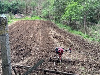 TERA VARI, HONDA 4T GXV 160, 5.5HP - 3