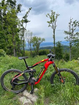 Haibike Flyon 10.0 - 3