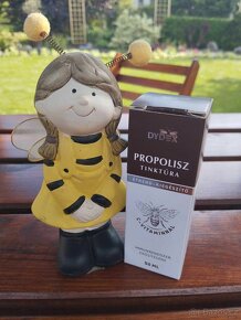 Včelí med. Mateří kašička. Propolis. - 3