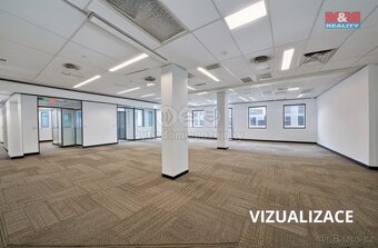 Pronájem kancelářského prostoru, 244 m², Domažlice - 3