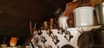 Paroží, trofeje, preparáty - 3