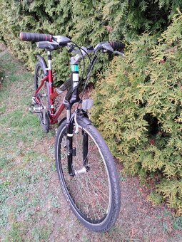Dámské kolo MAXBIKE 65 TB - 3