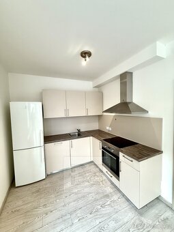 Pronájem byty 1+kk, 40 m2 - Praha - Karlín, ev.č. N07941 - 3