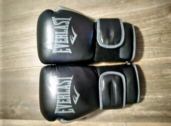 Pánské boxerské rukavice EVERLAST Powerlock 14OZ - 3