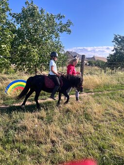 Pony klisna - 3