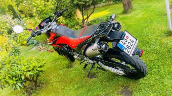 Honda FMX650 - 3