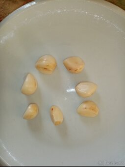 Česnek II. Jakost - 3