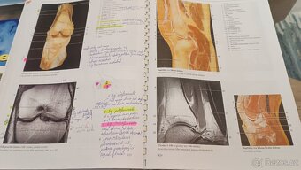 Yokochi - Anatomie človeka, skvělá na pitvy - 3