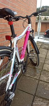 Horské kolo CTM dámské - 3