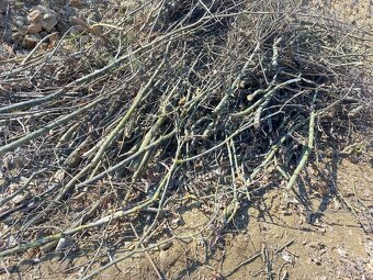 MULČOVACÍ ŠTĚPKA - 3