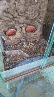 Terárium 65x40x40cm - 3