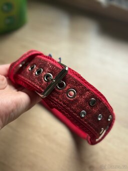 Obojek pro psa - 3