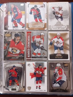Jaromír Jágr (lot 882 karet) - 3
