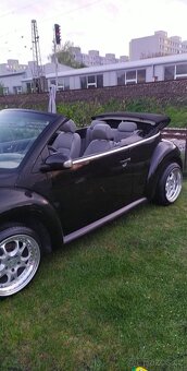 New beetle cabrio - 3