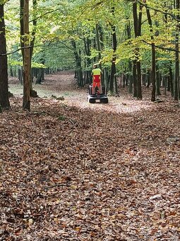 Železný kůň Lennartsfors - Švédsko - 3