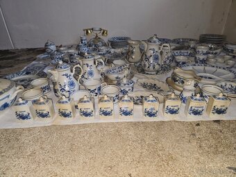 Prodam megasadu originalniho cibulaku - 3