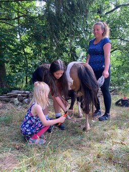 Pony kobylka - 3