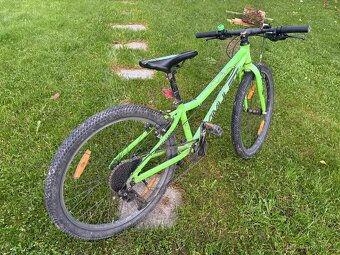 Amulet Tomcat 24 - 3