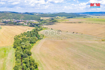Prodej pole, 4548 m², Lochovice - 3
