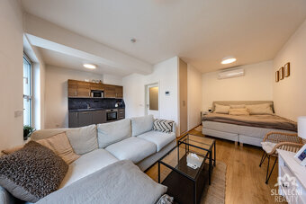 Pronájem bytu 1+kk s terasou, 37 m², Uherský Brod - Masaryko - 3