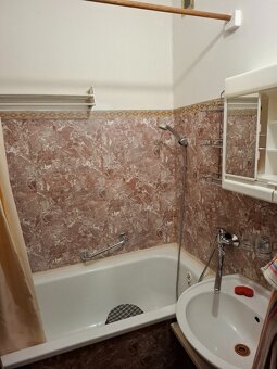 pronájem bytu 1+1 Olomouc - 3