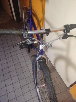 MTB-Favorit - 3