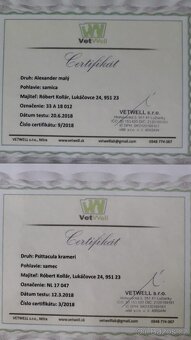 ALEXANDR MALÝ - 3