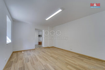 Prodej obchod a služby, 70 m², Plzeň, ul. Šípková - 3