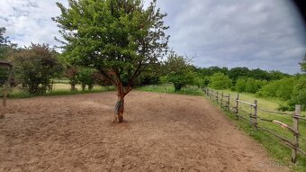 Nabídka ustájení 24/7 - 3