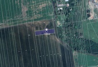 Prodej pole v k.ú. Šakvice, ev.č. 2026-02-26-142148 - 3