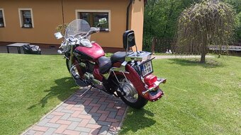 Suzuki VL 800 - 3