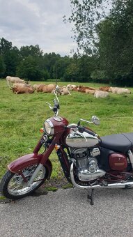 Jawa 300 CL - jako nová - 3