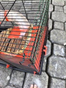 Klec pro křečka - 3