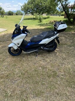 Honda - 3