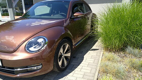 VW Beetle 46tis km r.2016 - 3