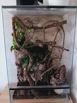 Terárium po chameleonovi - 3