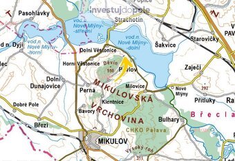 Prodej vinice v k.ú. Dolní Věstonice - 3
