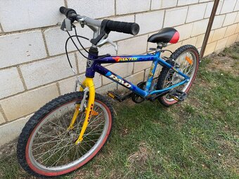 Ravo Panter 20" - 3