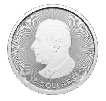 1 OZ stříbrná mince Majestic Polar Bear 2025 - 3